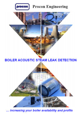 Boiler Leak Detection 260